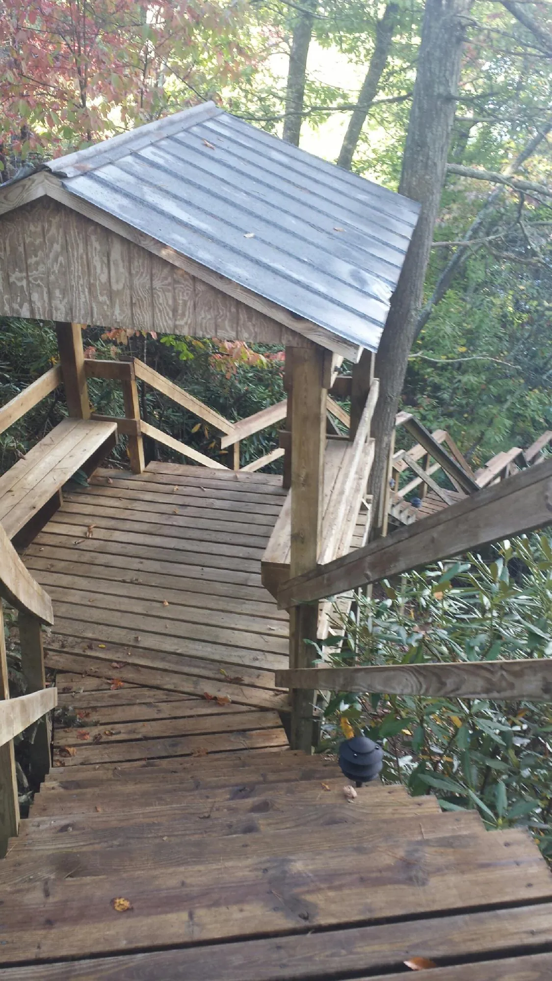 Metal roofed shelter over wooden steps on a wooded walkway — Skylight Repair & Installation work by our crew in Bear